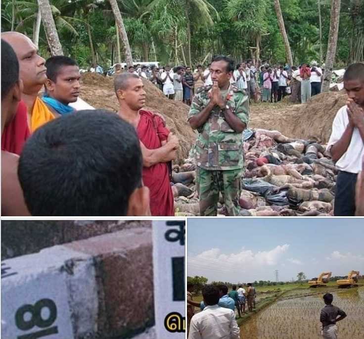 மூத்த குடியே